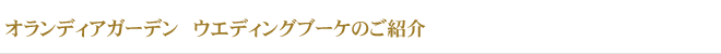 ǥǥ ǥ󥰥֡ΤҲ