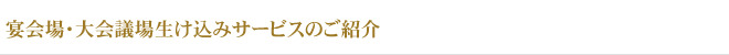 졦ľ ѡƥ  