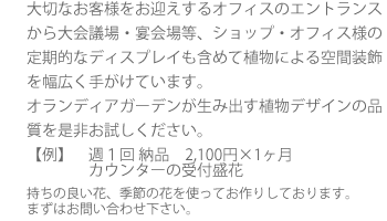 󥰥ե  ߥӥ