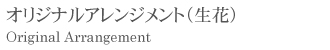 ꥸʥ륢󥸥ȡ֡