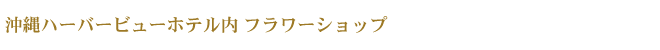 ϡСӥ塼ۥƥ եå